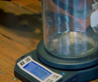 Alaska, la ruée vers l'or