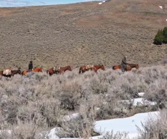 Seuls face à l'Alaska