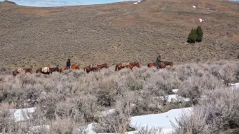 Seuls face à l'Alaska - S8E9 - Sans audace, pas de gloire