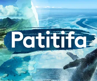 Patitifa