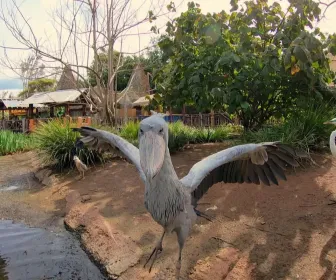 Au coeur du zoo le plus beau du monde