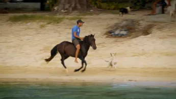 Outremer.story - Les Outre-mer au fil de l'eau