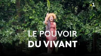 Patitifa - Le pouvoir du vivant