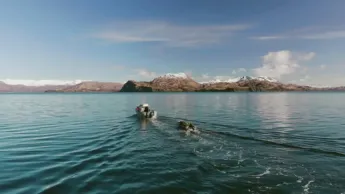 Seuls face à l'Alaska - S8E11 - L'heure des comptes