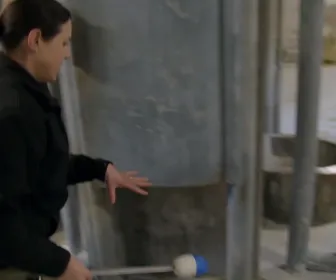 Au coeur du zoo le plus beau du monde