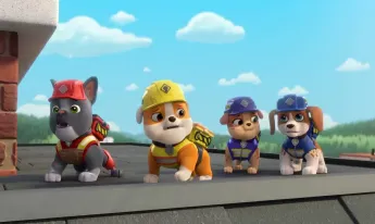 Ruben & CIE - Le nid d'aigle