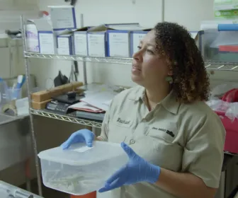 Au coeur du zoo le plus beau du monde