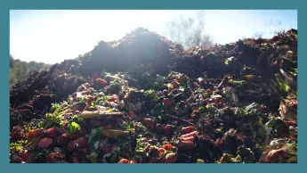 Météo à la carte - Découverte : rien ne se perd, tout se composte !