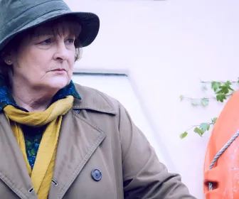 Les enquêtes de Vera