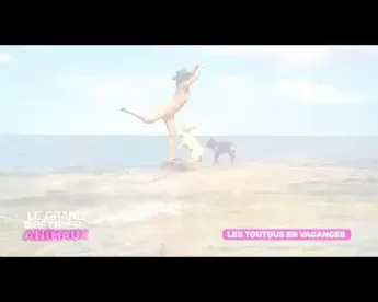 Le grand bêtisier des animaux - Émission 3