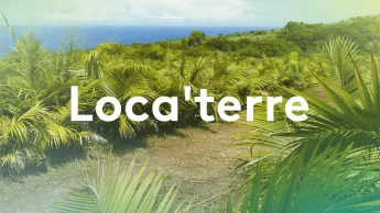 Loca Terre - Émission du dimanche 26 avril 2026