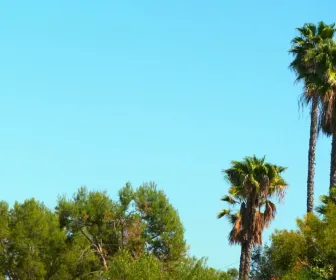 Tarek : le roi de la réno