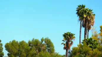 Tarek : le roi de la réno - S2 E4 - De l'électricité dans l'air