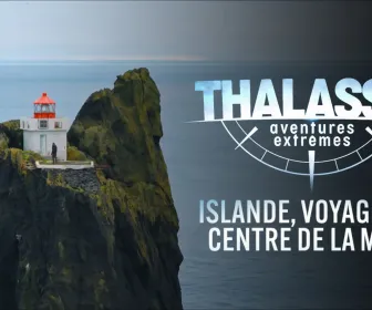 Thalassa, aventures extrêmes
