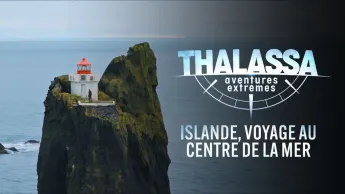 Thalassa, aventures extrêmes - Islande, voyage au centre de la mer