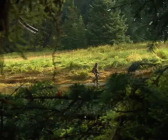 Seuls face à l'Alaska