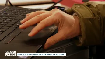 Un jour, un doc - Pouvoir d’achat : ventes aux enchères, la solution ?