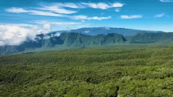 C pas si loin - Forêts des outre-mer : Le grand inventaire
