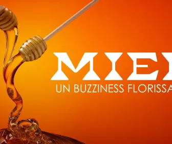 Miel : un buzziness florissant