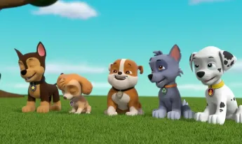 Paw Patrol, la Pat'Patrouille - Galinetta pilote un avion