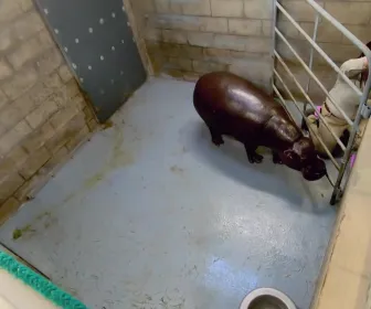 Au coeur du zoo le plus beau du monde