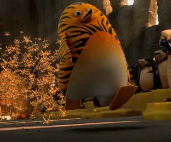 Les as de la jungle à la rescousse