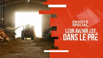 Envoyé spécial - Leur avenir est dans le pré