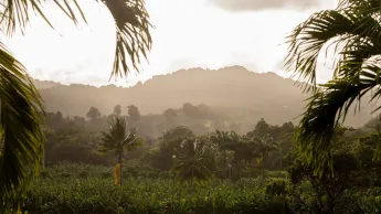 Tropiques criminels - Corps de garde