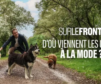 Sur le front