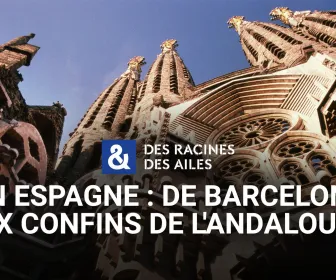 Des racines et des ailes