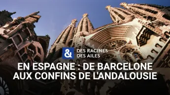 Des racines et des ailes - En Espagne : de Barcelone aux confins de l'Andalousie