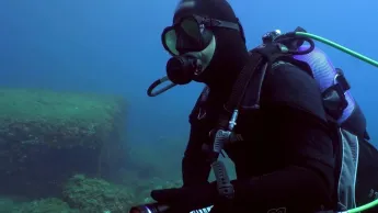 Sur le front - Du corail en mer Méditerranée ?