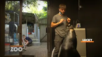 Une saison au zoo - S12 E15