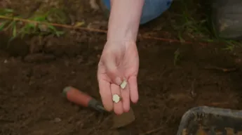 Le mystère d'Oak Island : la course au trésor - S11E7 - Grande ouverture