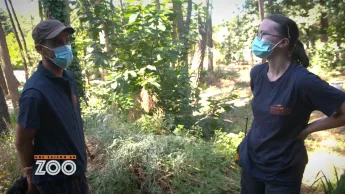 Une saison au zoo - S12 E16