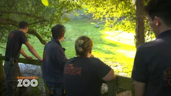 Une saison au zoo - S12 E21