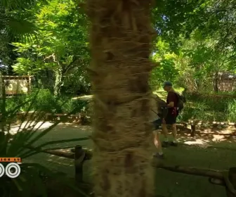 Une saison au zoo