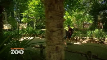 Une saison au zoo - S12 E25