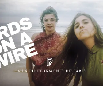 Birds on a Wire - Le Chant des oiseaux
