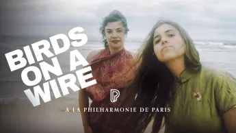 Birds on a Wire - Le Chant des oiseaux - 