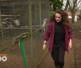 Une saison au zoo