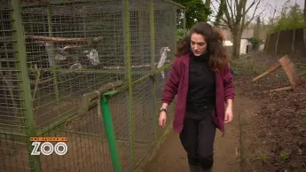 Une saison au zoo - S10 E6