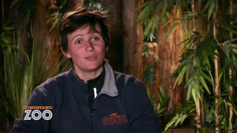 Une saison au zoo - S10 E18