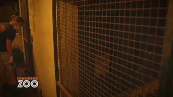 Une saison au zoo - S12 E45