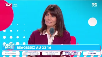 Estelle Midi - Marché, bureau, plages : faut-il autoriser les chiens partout ?