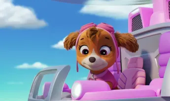 Paw Patrol, la Pat'Patrouille - Le portrait de la Mini Patrouille
