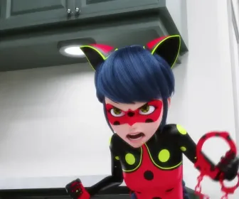 Miraculous : Les Aventures de Ladybug et Chat Noir