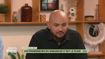 100% immo, le mag - Émission 23