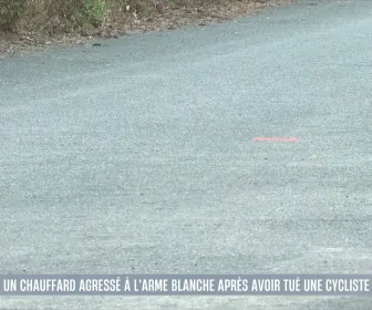 Le 1245