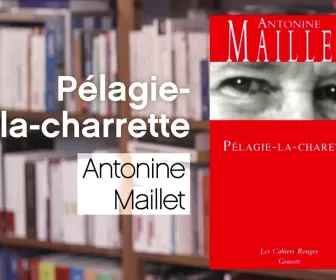 La p'tite librairie